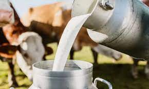 MILK PRODUCTION